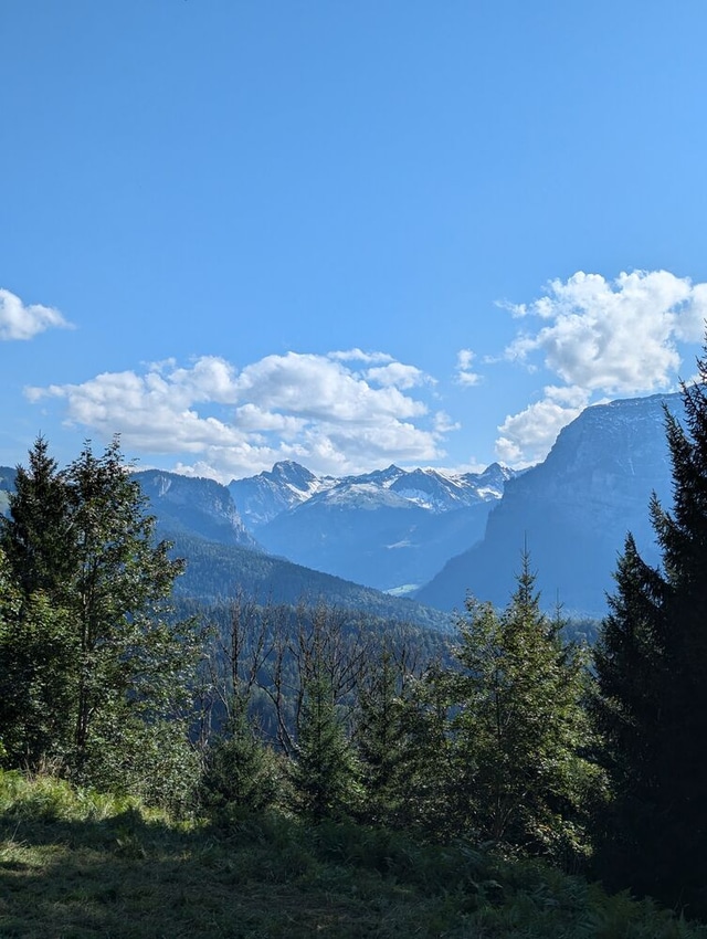 Winter am Hirschberg