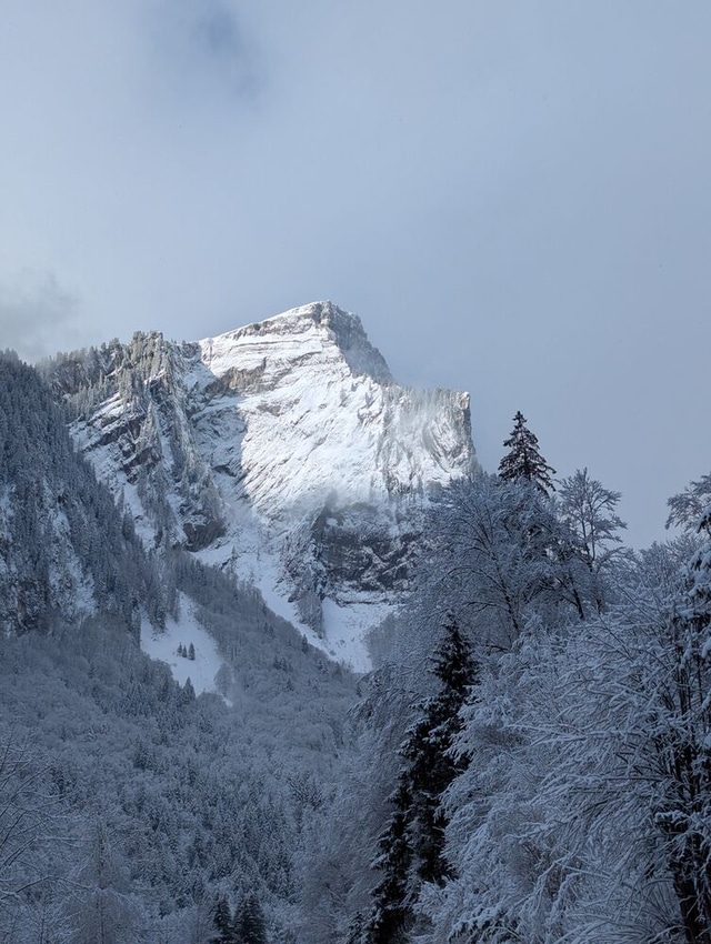 Winterlandschaft