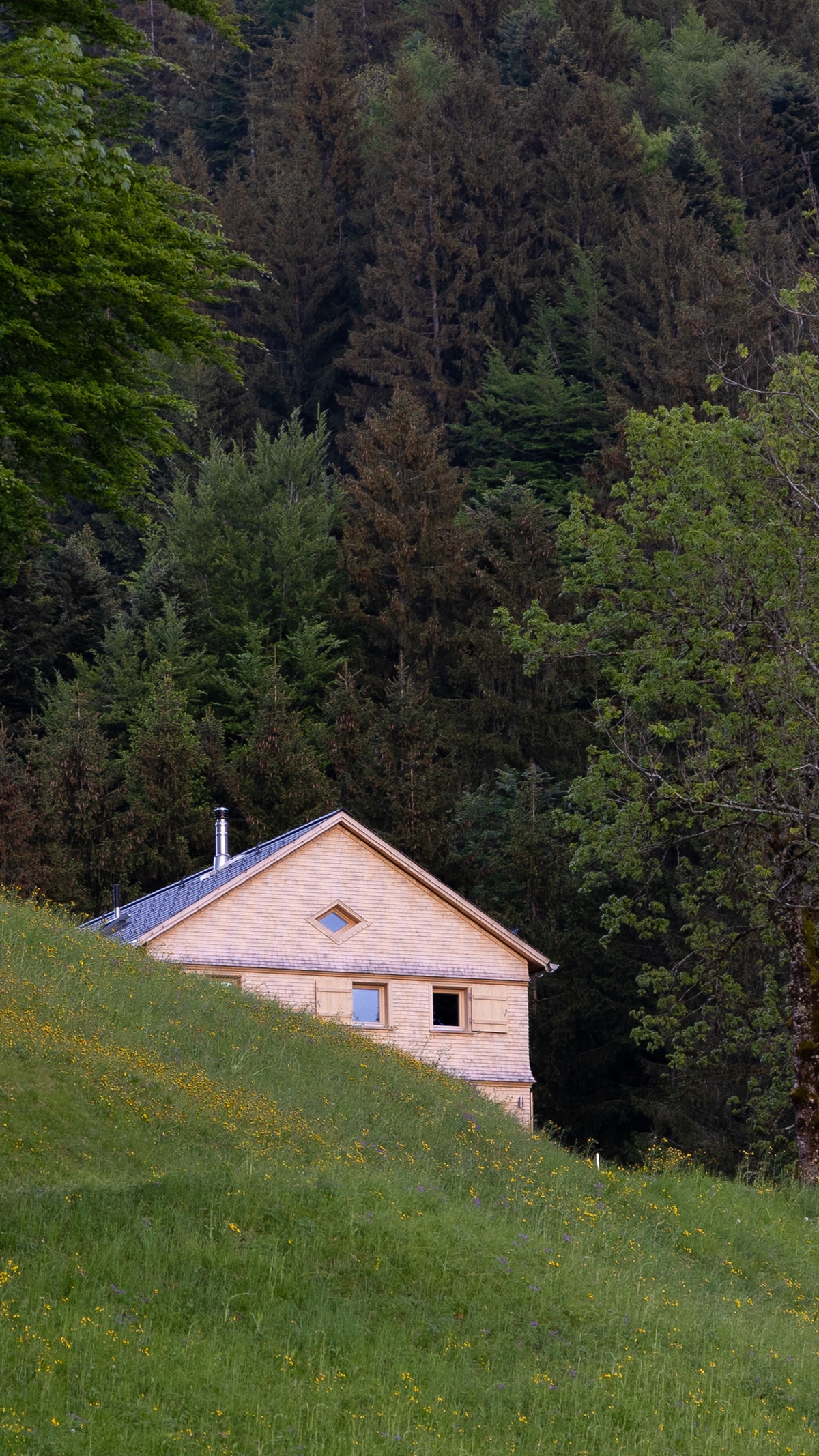 Westansicht mit Wiese